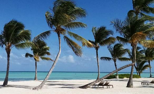 Destination Weddings